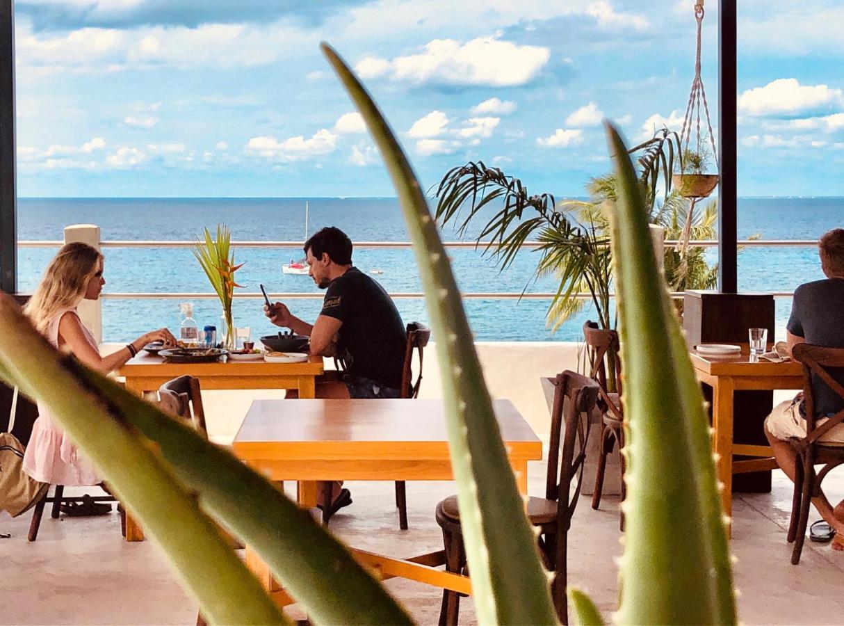 Albatros By Bedsfriends (Adults Only) Hotel Cozumel Ngoại thất bức ảnh